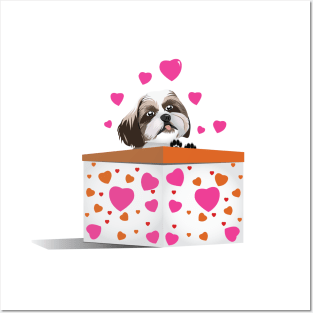 Puppy Shih Tzu Valentine Posters and Art